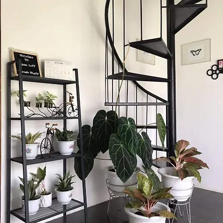 Laguna Loft Camiguin Mambajao Exterior photo